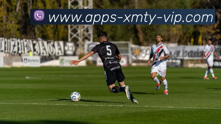 熊猫体育品牌故事