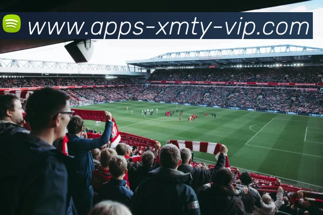 熊猫体育服务体系